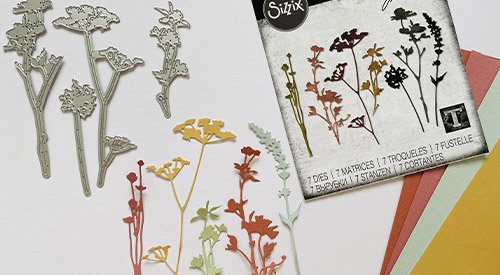 /content/dam/cultura-one/les-tutos/2021/cadre-menu-herbier---garden-party/TUTO_CMS_cadreherbier1.jpg
