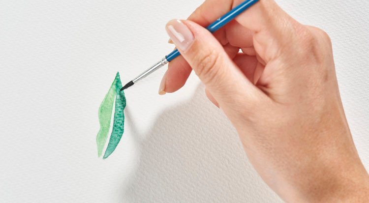/content/dam/cultura-one/les-tutos/2021/noël/herbier-aquarelle/TUTO_CMS_herbier_aquarelle_4.jpg