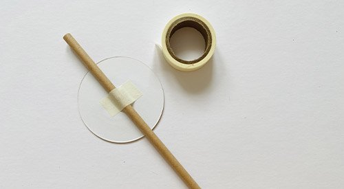 /content/dam/cultura-one/les-tutos/2021/pics-décoratifs-herbier---garden-party/TUTO_CMS_picdecoherb6.jpg