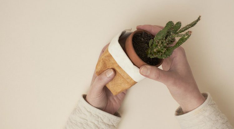 /content/dam/cultura-one/les-tutos/2022/mariage/cadeaux-invités-cache-pot-mariage-nature/TUTO_CMS_cadeaux_invites_cache_pot_6.jpg