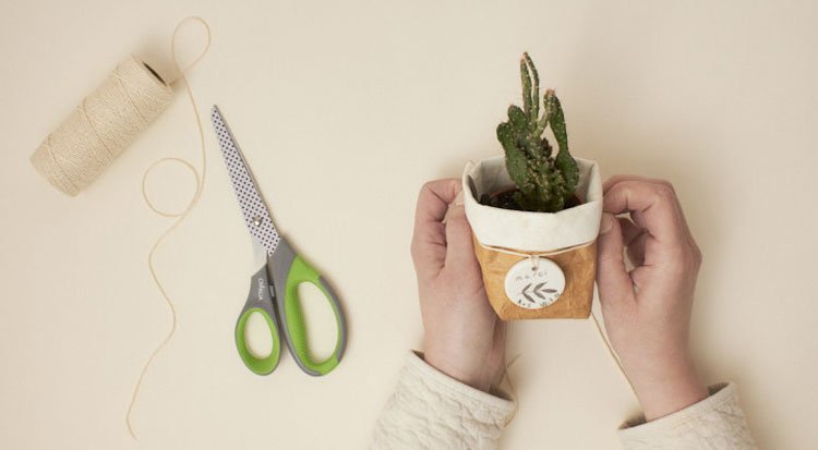 /content/dam/cultura-one/les-tutos/2022/mariage/cadeaux-invités-cache-pot-mariage-nature/TUTO_CMS_cadeaux_invites_cache_pot_8.jpg