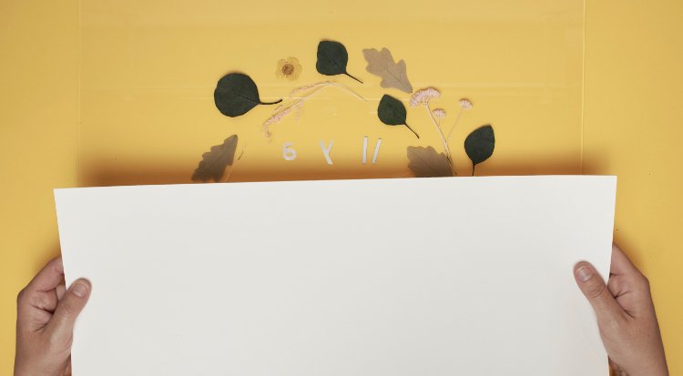 /content/dam/cultura-one/les-tutos/2022/projets-creatifs-juin-juillet/décoration-murale-cyanotype/TUTO_CMS_cyanotype_8.jpg