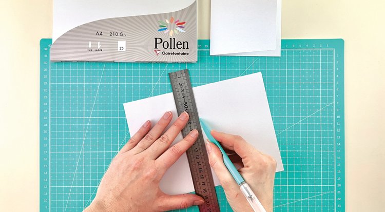 /content/dam/cultura-one/les-tutos/2023/carte-de-voeux/TUTO_CMS_Carte voeux-Pollen_1.jpg