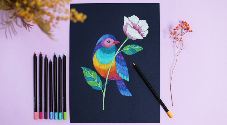 /content/dam/cultura-one/les-tutos/2023/tuto-faber-castell-black-edition/TUTO_CMS_Dessin-black-edition_9.jpg