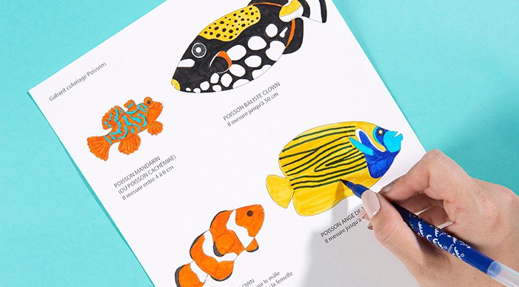 /content/dam/cultura-one/les-tutos/2024/vacances-ete-enfants/aquarium-en-papier/TUTO_CMS_Aquarium-papier_3.jpg