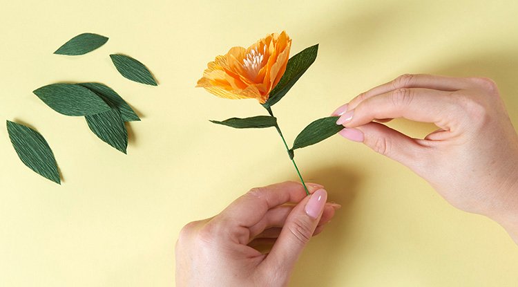 /content/dam/cultura-one/les-tutos/2026/projets-aca/pâques-printemps/chemin-de-table-fleurs-crepon-paques/13_CMS_TUTOS_FLEURS_PAPIER_CREPON.jpg