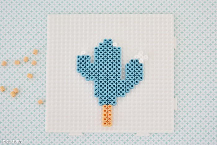 /content/dam/cultura-one/les-tutos/m1/2017/fdm/kids/plantes_cactus/1.jpg