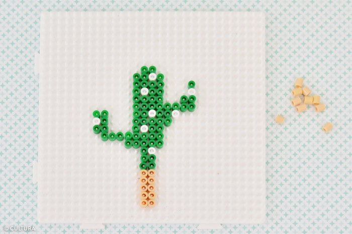 /content/dam/cultura-one/les-tutos/m1/2017/fdm/kids/plantes_cactus/3.jpg