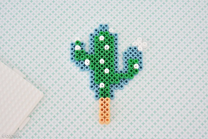 /content/dam/cultura-one/les-tutos/m1/2017/fdm/kids/plantes_cactus/4.jpg