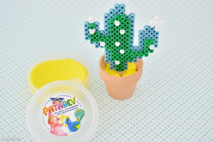 /content/dam/cultura-one/les-tutos/m1/2017/fdm/kids/plantes_cactus/5.jpg