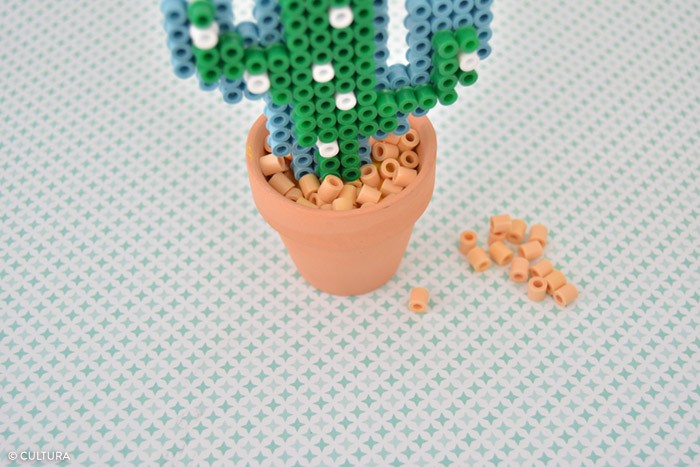 /content/dam/cultura-one/les-tutos/m1/2017/fdm/kids/plantes_cactus/6.jpg