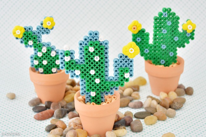 /content/dam/cultura-one/les-tutos/m1/2017/fdm/kids/plantes_cactus/8.jpg