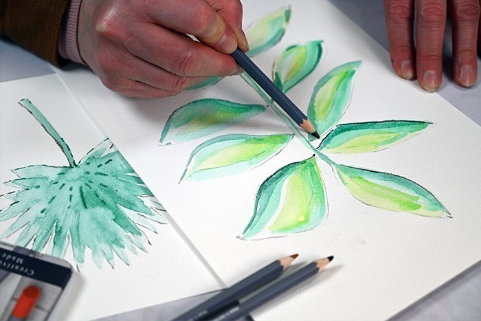 /content/dam/cultura-one/les-tutos/m1/2020/creativ/ba/herbier/8.jpg