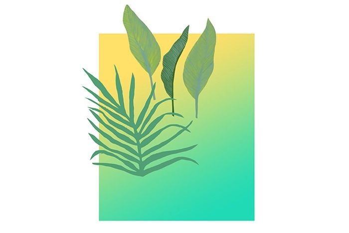 /content/dam/cultura-one/les-tutos/m1/2020/creativ/ba/tableau_tropical/13.jpg